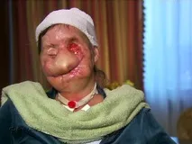 ЛЮДИНА І ЗВІР звір