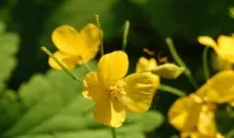 ефективний