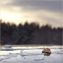 консультування