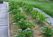 Декоративний город своїми руками руками