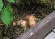 Декоративний город своїми руками руками