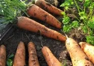 Декоративний город своїми руками город