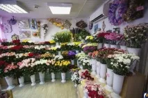 Florărie - cum să deschizi o afacere cu flori