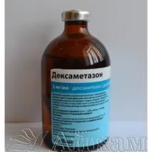Дексаметазон - протизапальний та протиалергічний препарат для тварин протизапальний