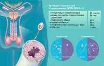 Аналіз спермограми розшифровка результатів, норма, підготовка до спермограми спермограми