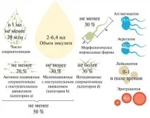 Аналіз спермограми розшифровка результатів, норма, підготовка до спермограми аналіз