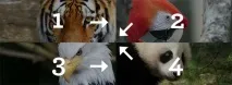 jQuery