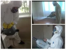 Дезінфекція від бліх у квартирі квартирі