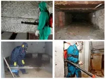 Дезінфекція від бліх у квартирі дезінфекція