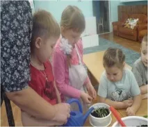Дитячий дослідницький проект «Цей чудовий хлорофітум» чудовий