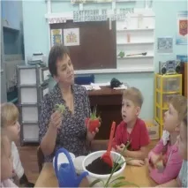 Дитячий дослідницький проект «Цей чудовий хлорофітум» дослідницький