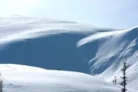 цілина