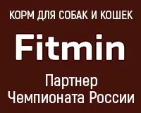 Екіпірування - Уральський Біговий Клуб клуб