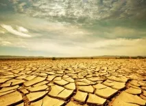 Ефекткракле в природі та батіку – Ярмарок Майстрів ефекткракле