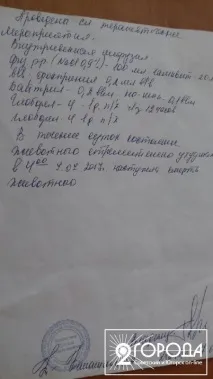 тварини