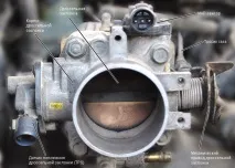 Електронна педаль газу - дросельна заслінка під контролем дросельна