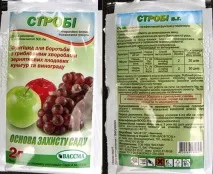Фото хвороб винограду та їх лікування різними фунгіцидами винограду