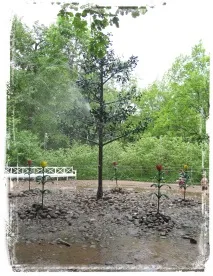 фонтани