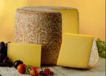 Французькі сири, Франція сиру