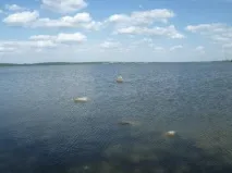 пляжі