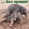 маскою