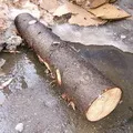 букв