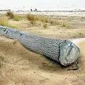букв