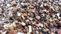 Грунт для акваріума грунт своїми руками, природний грунт, грунт для рослин, Блог акваріуміста грунт
