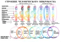 культуру