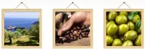 Innisfree Olive Real Serum, 50 мл serum