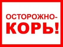 Архіви Статті та доповіді - Державна бюджетна установа охорони здоров’я Московської області доповіді