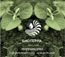 Із сої, вирощеної на полях «Сонячних продуктів» у рамках проекту, почали виробляти сир тофу сонячних