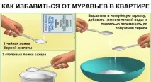 мурах