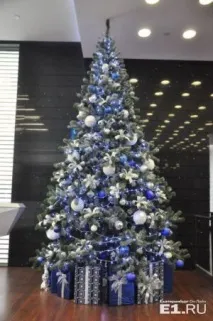 Як єкатеринбуржцям самостійно роздобути новорічну ялинку і не потрапити до лісової охорони. потрапити