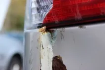 Як визначити чи перефарбовувався автомобіль перефарбовувався