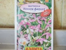 Як посадити фіалку в горщик правила та інструкція інструкція