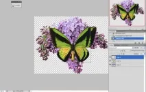 Як зробити анімацію метелика у фотошоп зробити