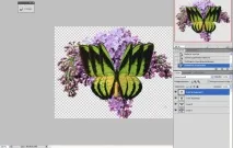 Як зробити анімацію метелика у фотошоп анімацію