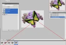Як зробити анімацію метелика у фотошоп метелика