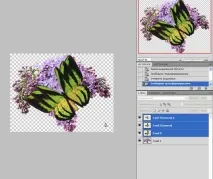Як зробити анімацію метелика у фотошоп зробити