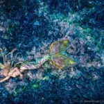 Як створити унікальні фотографії, використовую 10 000 пластикових пляшок фотографії