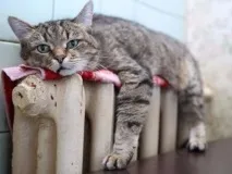 заощадити