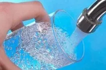 Як викликати блювотний рефлекс у собаки в домашніх умовах рефлекс