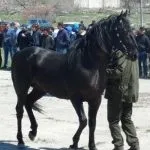 цінної
