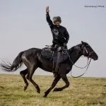 коней