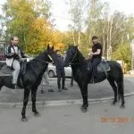 особливості