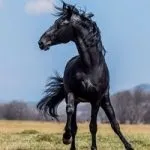 історія