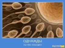 Безпліддя, FOR-EVOLUTION день