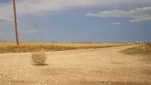 Коли родичі дочекалися твого весілля весілля