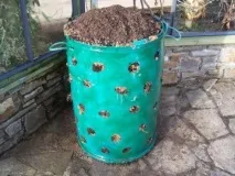 Полуниця у бочці вирощування на садовій ділянці покроково, як посадити садовій